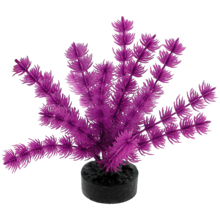 CB-2104-NPP - Vibran-Sea® Color Burst Florals® Foxtail Plant - Neon Purple