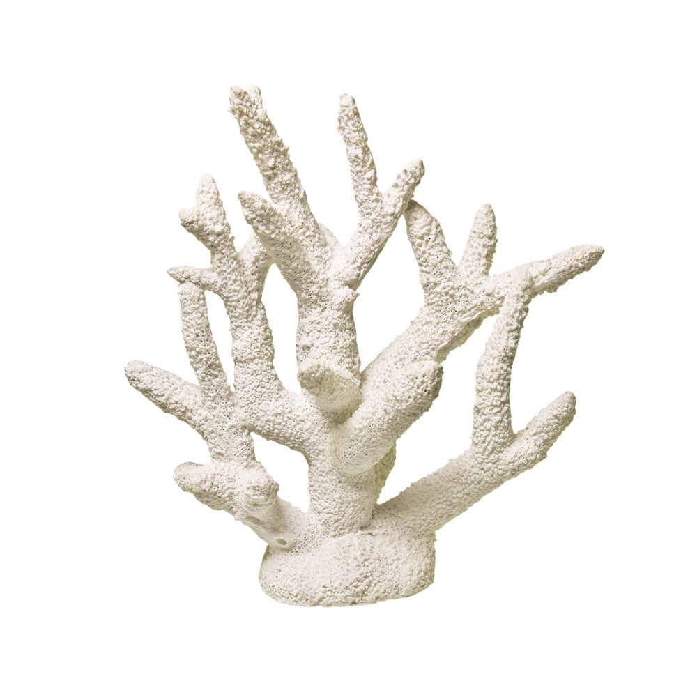 EE-1763 - Exotic Environments® Reefflections® Coral Impressions® Staghorn  Coral White